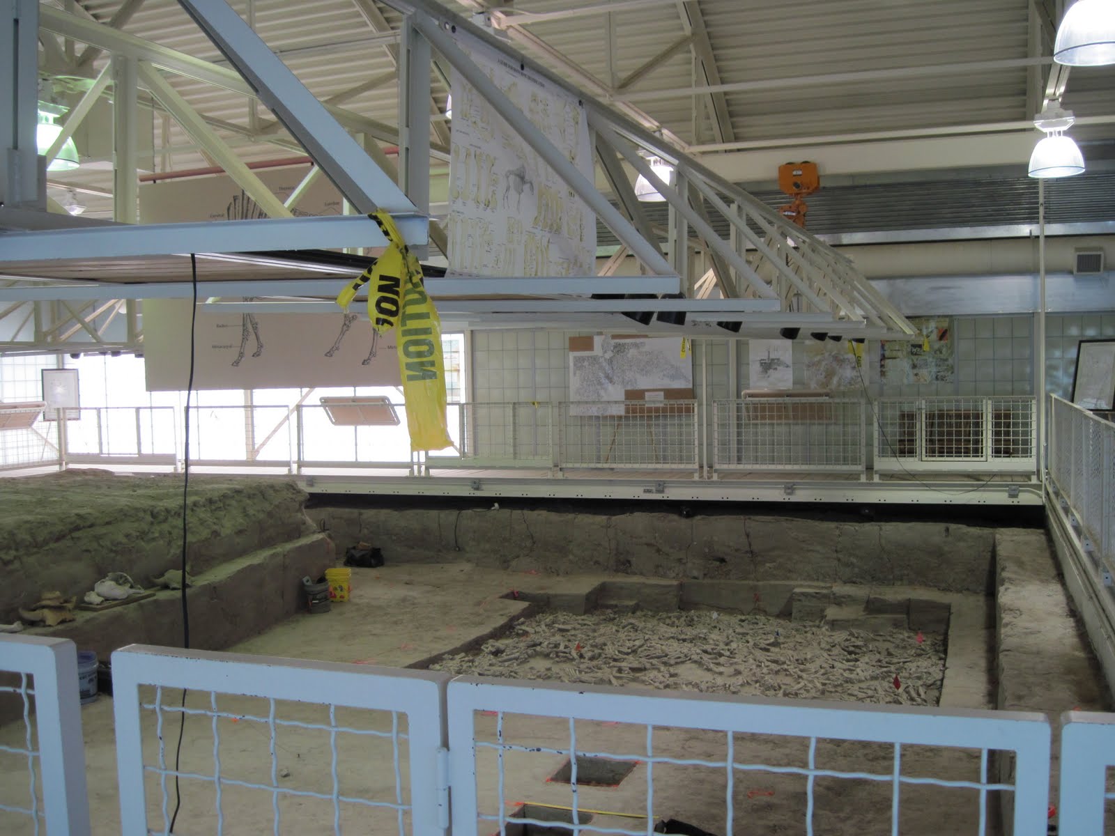Hudson-Meng Bison Bonebed — Crawford, Nebraska