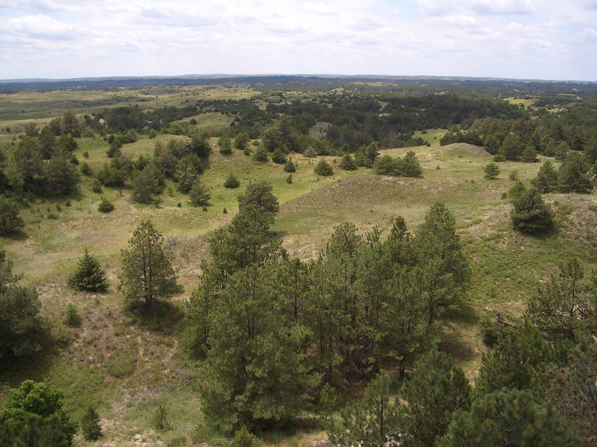 Nebraska National Forest (Bessey District) — Halsey, Nebraska