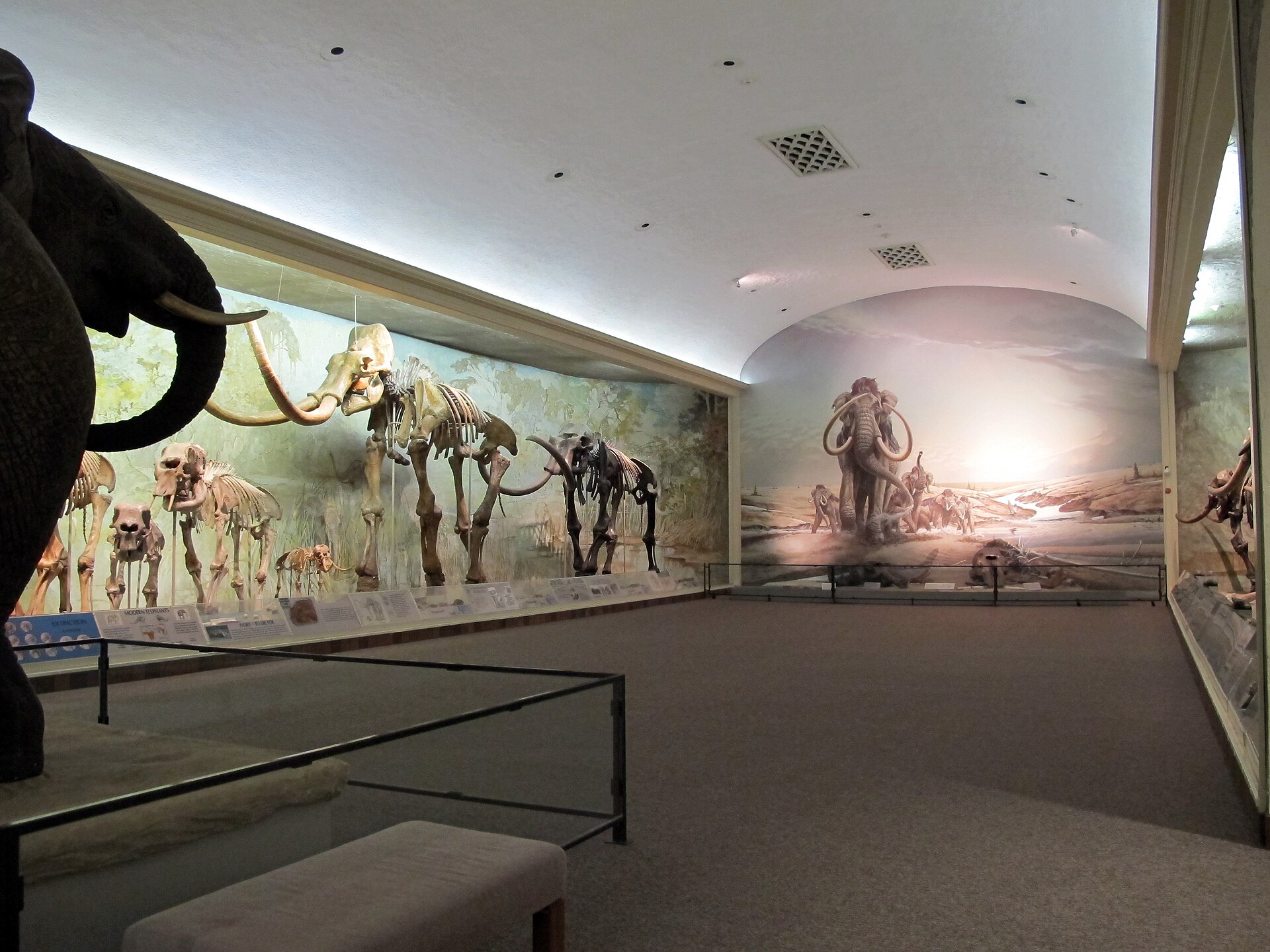 Morrill Hall — Lincoln, Nebraska