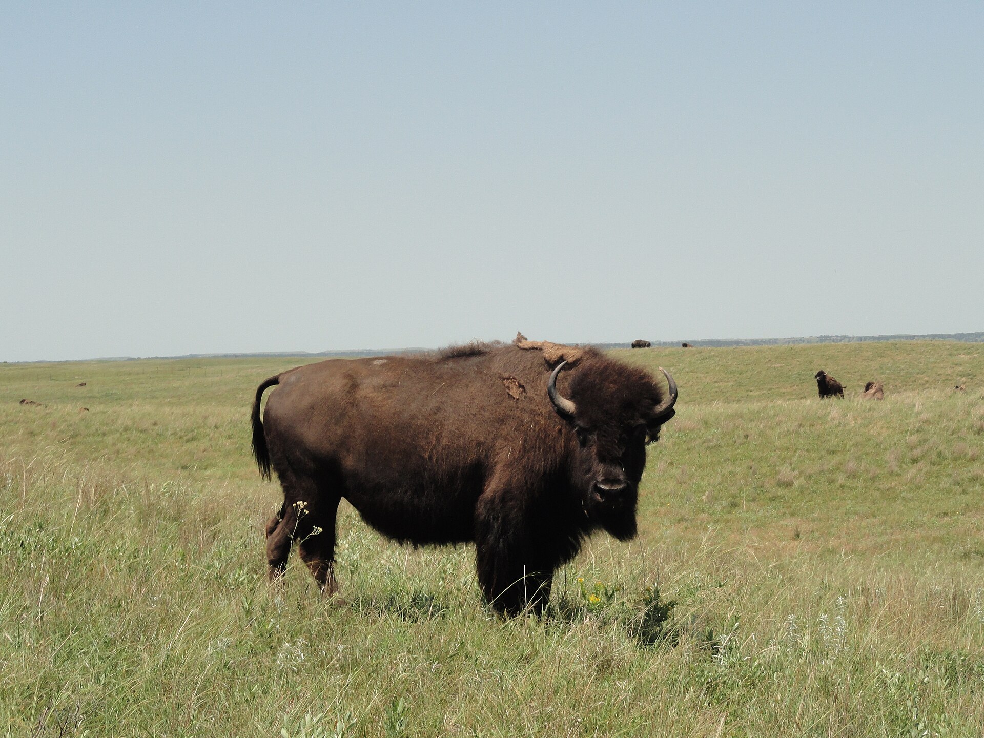 Fort Niobrara National Wildlife Refuge — Valentine, Nebraska