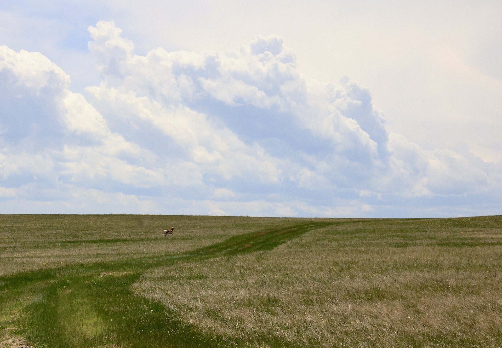 Oglala National Grassland — Crawford, Nebraska