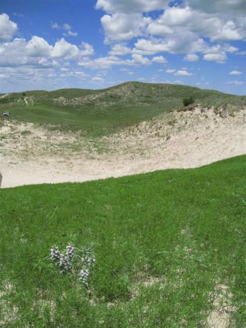 Samuel R. McKelvie National Forest — Nenzel, Nebraska